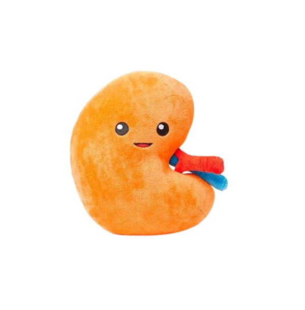 Nerdbugs Kidney Plush Toys - Urine for a treat! - Bright Orange